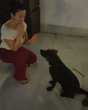 Yonca Şahinbaş Instagram - 🐾 @koraysahinbas ❤️