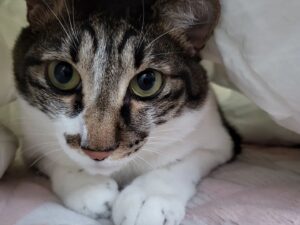 Yoo Na-gyeol Instagram - 감자까꿍😺