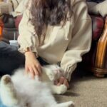 Yoon Seo-ah Instagram - 🐱🐶 #종말의바보 #netflix
