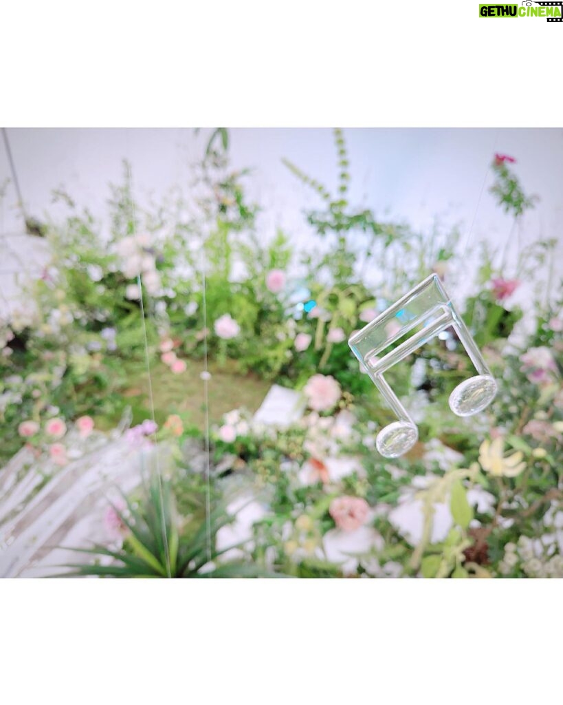 Yoshino Nanjo Instagram - The Fantasic Garden オフショット ジャケ写の音符たちも、CGではなくなんとオリジナルで作ってくださってます〜！ 大きな透明な傘も！ メチャクチャ重たくて、撮影は上から吊り下げて撮っていました〜！ 透明なオブジェクトたちと、お花のコントラストがめちゃくちゃ可愛かった〜〜〜