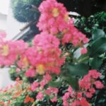 Yui Sakuma Instagram - 💞🐒