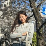 Yuka Ogura Instagram – 東京は桜が満開🌸

#東京桜
#櫻花 
#イタグレ
@iggy_lili