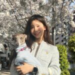 Yuka Ogura Instagram - 東京は桜が満開🌸 #東京桜 #櫻花 #イタグレ @iggy_lili