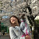 Yuka Ogura Instagram - 東京は桜が満開🌸 #東京桜 #櫻花 #イタグレ @iggy_lili