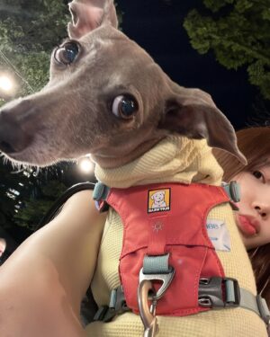 Yuka Ogura Instagram - 夏始まった？