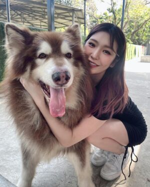 Yuki Kamifuku Instagram - -
best place in Thailand🐾
世界で1番大切な嫁や彼女が居てもキャバクラに行く男の気持ちが少しだけ理解できたかも知れない。
若くて可愛くて元気なイッヌはお金を払ってでも会いたいしモフモフしたいしオヤツねだられたら買っちゃうよね。
#zacごめん