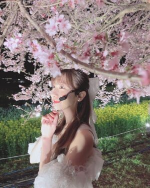 Yuki Kashiwagi Instagram - ༝༚┈❁┈༚༝

CDTVライブ！ライブ！
お昼も夜も桜がとっても綺麗でした☺️🌸

#桜　#夜桜