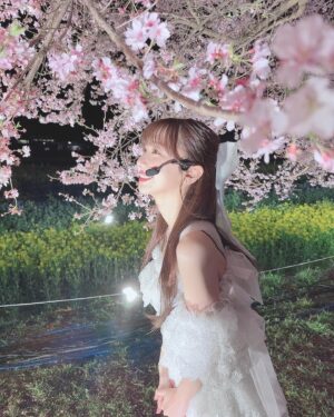 Yuki Kashiwagi Instagram - ༝༚┈❁┈༚༝

CDTVライブ！ライブ！
お昼も夜も桜がとっても綺麗でした☺️🌸

#桜　#夜桜