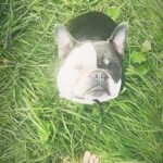 Yuliya Frants Instagram -