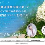 Yumi Matsutoya Instagram - 3月16日より、北陸浅野川線の粟ヶ崎駅～内灘駅の車内で「acacia【アカシア】」が流れることになりました。 ユーミンの歌声が電車の車内で流れるのは、初めて！ ユーミンもとても喜んでいます。 たくさんの方に聴いていただけますように。 マネージャーK子