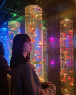 Yumiko Takino Instagram - .

#アートアクアリウム