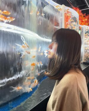 Yumiko Takino Instagram - .

#アートアクアリウム