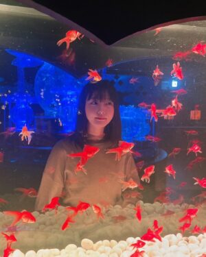 Yumiko Takino Instagram - .

#アートアクアリウム