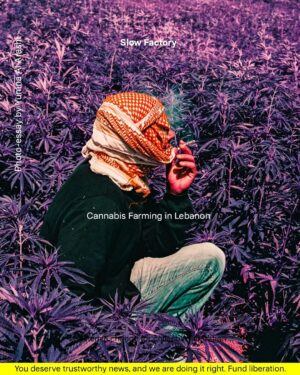Yumna Al-Arashi Instagram - Photographer, Yumna Al-Arashi | @Yumnaaa shares with us a very personal and powerful story of her experience with cannabis farmers in Lebanon and how an industry that’s illegal in the region, uses corruption to thrive on these sacred Lands. To access the full piece on Slow Journal, please visit https://slowfactory.earth/readings/cannabis-farming-in-lebanon/ or head to our Link in Bio 📌