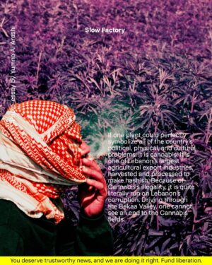 Yumna Al-Arashi Instagram - Photographer, Yumna Al-Arashi | @Yumnaaa shares with us a very personal and powerful story of her experience with cannabis farmers in Lebanon and how an industry that’s illegal in the region, uses corruption to thrive on these sacred Lands. To access the full piece on Slow Journal, please visit https://slowfactory.earth/readings/cannabis-farming-in-lebanon/ or head to our Link in Bio 📌