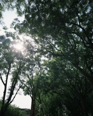 Yvonne Liang Instagram - 小時候我們家其實是四代同堂。

我跟哥哥出生的時候，阿太（客語的曾祖母）還在，
我們一起生活了幾年，沒什麼跟阿太相處的記憶，
但一直都記得她的長相以及嬌小、駝著背的模樣，
還有健康高齡，很有福氣。

隨著阿婆跟阿公相繼去了宇宙環遊，
諾大的房子，偶爾會感覺空蕩一些，
伴隨想念時的傷感，
那些嘮叨又甜蜜的聲音，隨著生命流轉而消失在空氣裡。

花季結束，花季會再來，
在今年，我們家即將又要成為三代同堂了。

當時在猜男生還女生，
全家人都說：不猜，男生女生都好！健康就好！

直到要公佈性別的前兩天，我跟母親對看，

🧒🏻：『妳覺得？』

👩🏻‍🦱：『男生女生我都喜歡！但就是有一個預感，是男生。
很奇怪喔，因為我每次想像他的樣子，
都是男生的樣子，想要想成女生，又變回男生的樣子。』

🧒🏻：『我！也！是！』

說也奇妙，每當想像著未來有個小矮冬瓜在身邊跑來跑去，
就是一個小男生的感覺。

大嫂照完超音波回來後，
我：『好緊張喔！等一下，先不要講，我再猜一下！』（瘋子）

『妳看照片就知道了。』

此時邏輯雷達響起💡

『等等！妳這句話，已洩漏了一切！』

『？』

『因為⋯只有是男生的特徵，才會看照片就知道！』
（完全把嬰兒性別當成預言家在盤，很有事）

我跟母親的預感真是驚人，
記得看到超音波照片的那天，
我看見他小小的五官和臉龐，
一瞬間哽咽到說不出話，眼淚就這樣噴了出來，
我哥：😀？，我大嫂：😀？

『不好意思，太感動了！🤍😭』

未來我必定是個內心戲很濃的姑姑，
但我已經感覺到我會超級超級愛你的。

此刻的盼望和期待，
就是我們一家人最幸福的時刻，最好的時光。

已經迫不及待想要見到你，
未來那個可愛的小奶音喊著：古ㄍㄨ～古ㄍㄨ～

🐓🐓🐓