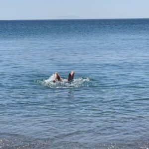 Zeta Douka Instagram - Χρόνια πολλά σε όλους! 
Ανάσταση στην καρδιά και τα μυαλά μας 🙏🏻🦋

#easter #astypalaia #family #friends