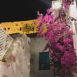 Zeta Douka Instagram - Χρόνια πολλά σε όλους! Ανάσταση στην καρδιά και τα μυαλά μας 🙏🏻🦋 #easter #astypalaia #family #friends
