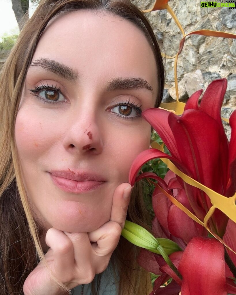 Zeynep Koltuk Instagram - Evet çok güzel kokuyordu evet kendimi alamadım işte sonuç🙄🤭🤩🤪(yüzümdeki kırmızılıklar çiçeğin polenleridir kan değil)