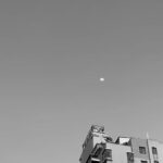Zhao Jinmai Instagram - 🌛