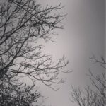 Ziba Karamali Instagram - . وای ازین حال پریشان که من امشب دارم قصه ی روز و شب من سخنی مختصر است ! روز در خوابِ خیالاتم و شب بیدارم... #مهدی_اخوان_ثالث . . #روزهای_خاکستری