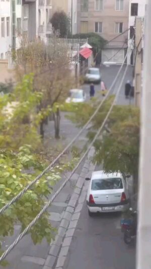 Ziba Karamali Instagram - .
به این ویدیو هزاربار نگاه می‌کنم؛ چون بیشتر از هر تصویری شبیه من است. شبیه حال همین امروز من! دقیقا لحظه ای که بیدار شدم و تصویر این پسر بیست و سه ساله را روی صفحه موبایلم دیدم و خواندم که در فاصله کوتاهی از صدور حکمش اعدام شد! من خانواده‌ات نبودم محسن اما دقیقا همینطور وسط خانه داد کشیدم و ناله کردم... انقدر که از نفس افتادم... تقریبا بی جان و بی هیچ توانی مثل یک مرده ساعت‌ها افتادم روی مبل... و بعد آرزو کردم کاش جای تو بودم. کاش امشب کسی که نبود تا کثافت اینجا را تحمل کند، من بودم نه تو! منی که همین حالا هم مرده ام... از صبح هزاربار لحظه ای را تصور کردم که من خواب بودم و تو کشان کشان به مقتل کشیده میشدی... به چه فکر می‌کردی؟ حتما که باور نمیکردی... چون منم هنوز باور نکرده‌ام! باور نکرده ام که چطور کسی را به چنین جرائم ساده ای به همین سرعت اعدام می‌کنند و خواصشان، میچرخند و می‌درند و به ریش ما می‌خندند! به نظرم هنوز هیچ کدام از ما چهره ی عزیزانمان را که مظلومانه رفتند فراموش نکرده ایم اما پس از این دیگر نمیترسم محسن... از هیچ چیز نمی‌ترسم... امروز که آرزوی مرگ کردم، فهمیدم دیگر چیزی برای ترسیدن ندارم. اساسا هرگز نداشته‌ام. ترس بیهوده ای بود که به من توهم دارندگی میداد! اما من خودِ بی چیزم را بیشتر دوست دارم، محسن! من اگر هیچ نداشته باشم، شجاع ترم و من امروز بی همه چیز‌ترین زن جهانم! 

#محسن_شکاری