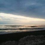 Ziba Karamali Instagram - نشانه ی یک انسان رشدنیافته این است که می خواهد شرافتمندانه برای هدفی بمیرد ولی نشانه ی یک انسان رشد یافته این است که می خواهد برای یک هدف، متواضعانه زندگی کند. . #ناطور_دشت