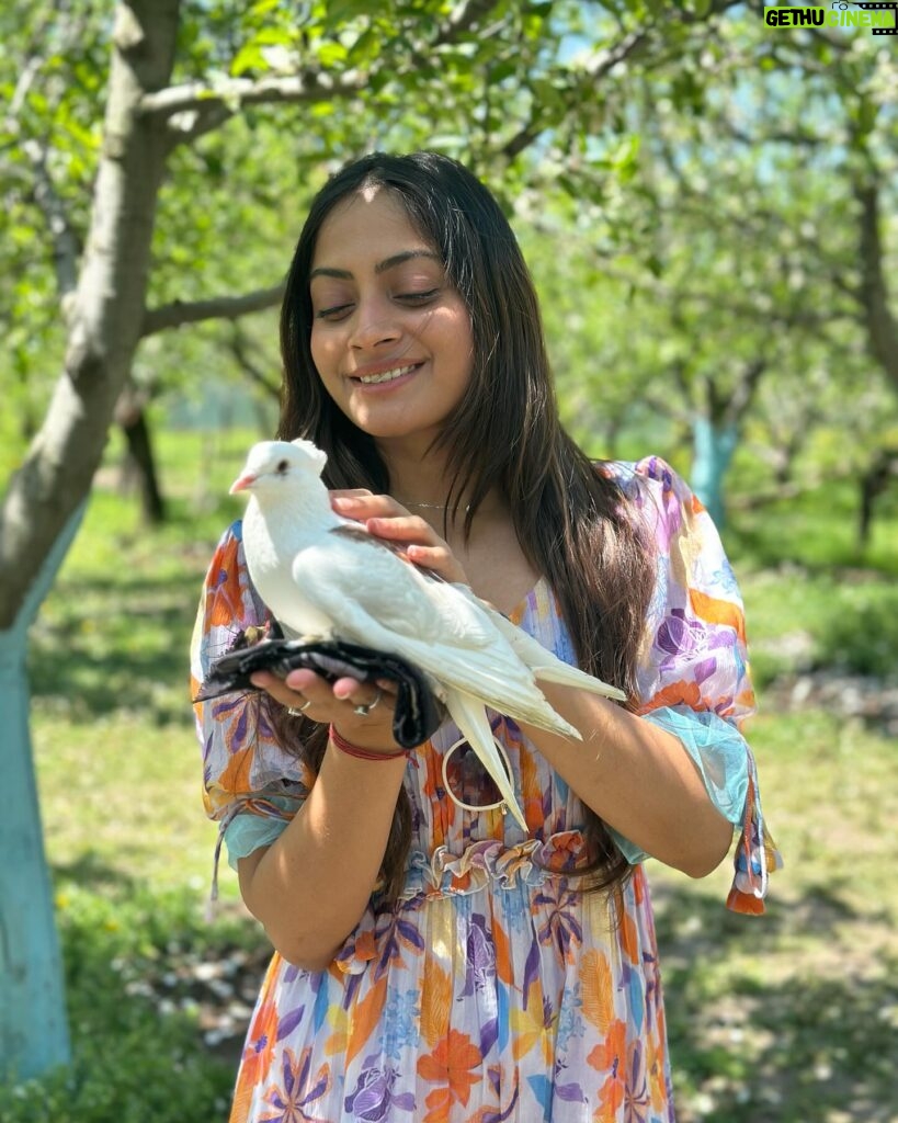 sree priya Instagram - 🕊️🍎 Comment down ua fav pic ..? 👇🏻 . . Outfit : @labelmacara