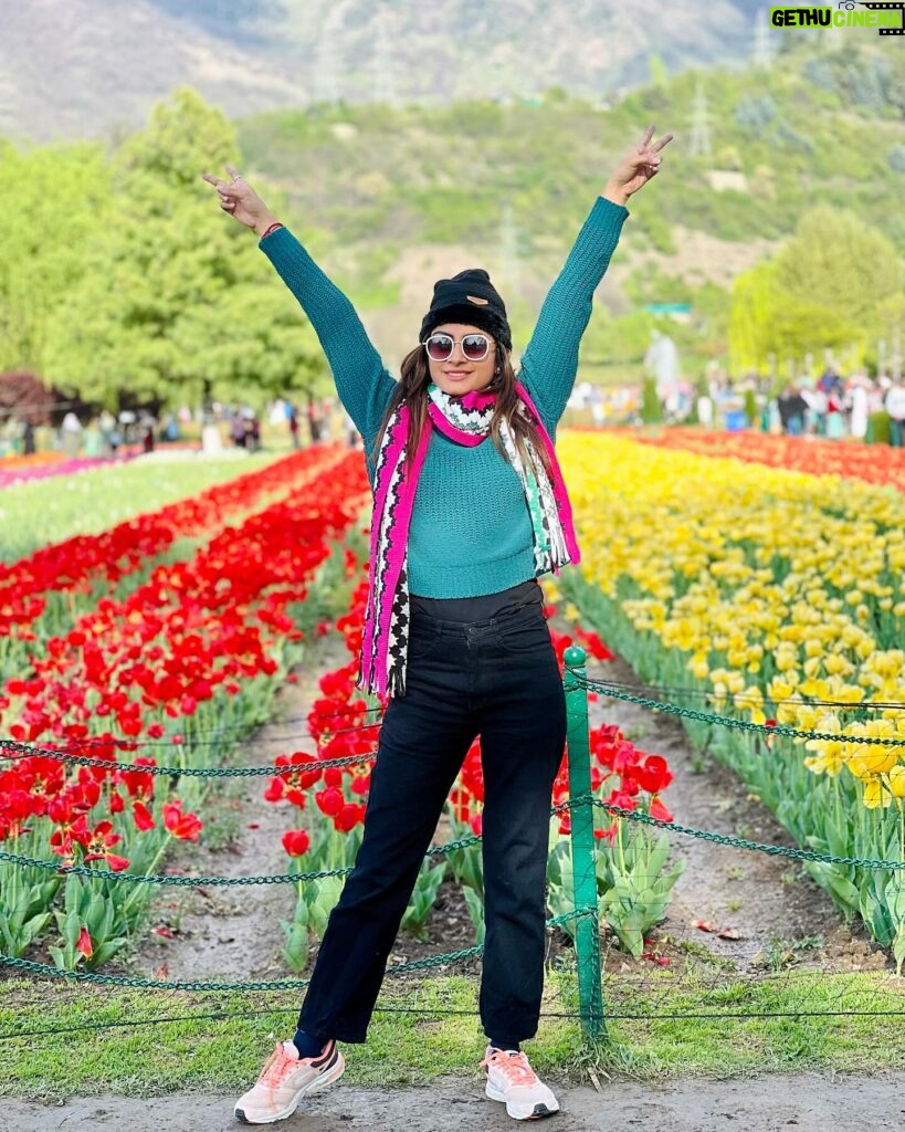 sree priya Instagram - 🌷✨ 📍srinagar #kashmir #tulips #tulipgarden #travelphotography