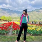 sree priya Instagram – 🌷✨

📍srinagar 

#kashmir #tulips #tulipgarden #travelphotography
