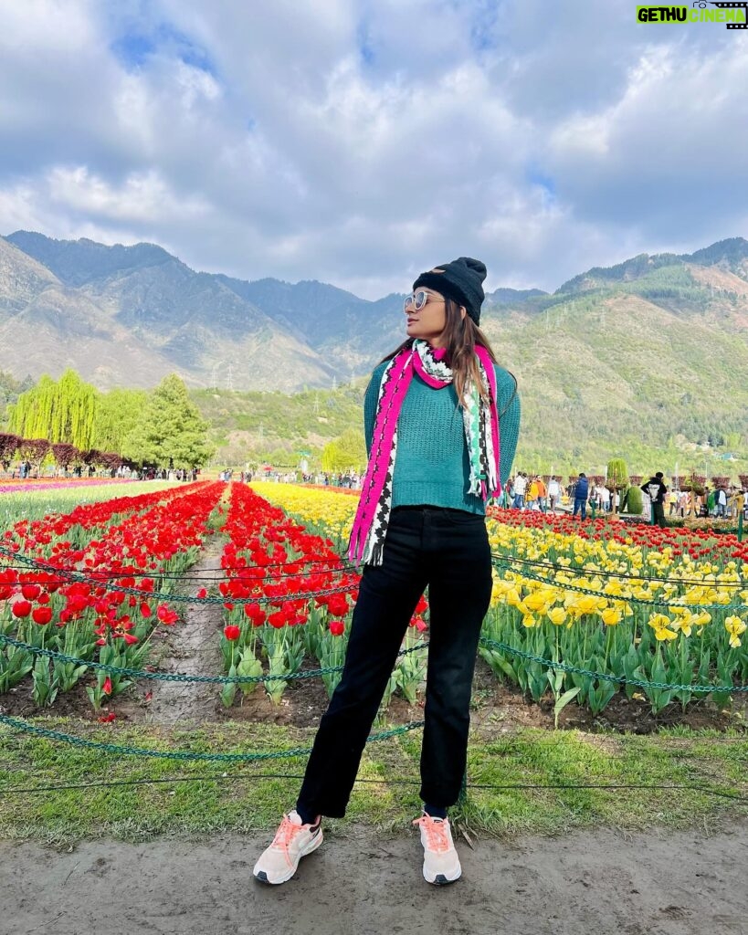 sree priya Instagram - 🌷✨ 📍srinagar #kashmir #tulips #tulipgarden #travelphotography