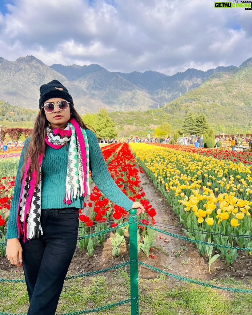 sree priya Instagram - 🌷✨ 📍srinagar #kashmir #tulips #tulipgarden #travelphotography