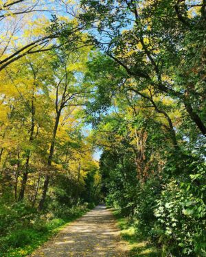Aaron Ashmore Instagram - Beautiful Autumn day. 🍁🍂🍁🍂