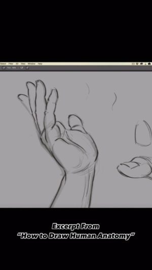 Aaron Blaise Instagram - ✍️ Drawing Hands is Hard!! This little excerpt is from my “How to Draw Human Anatomy” course. Still ONLY $1 for a VERY LIMITED TIME. (link in bio)

#dailydrawing #art #tutorial #aaronblaise