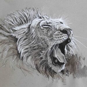 Aaron Blaise Instagram - Been busy doing #Animation on Snow Bear so I have not been posting as much. Here are a few images from my archives. 

#throwbackthursday #throwback #tbt #aaonblaise #lion #penandink #ink #drawing #animalart