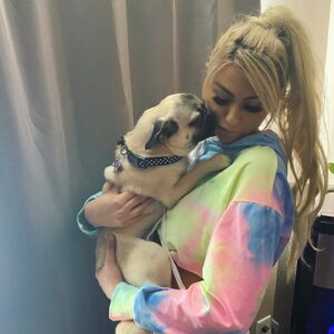 Aaron Carter Instagram - She loves her mommy too ❤️ #pugsofinstagram #FakeNews #FalseAllegations @aspca