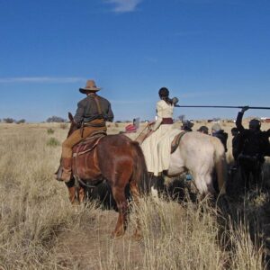 Aaron Marciniak Instagram - Another Deadmen bts photo dump
.
.
.
.
.
#bts #cowboy #horses #actor #tv #tvshow #western #westerns #yellowstone #yeehaw