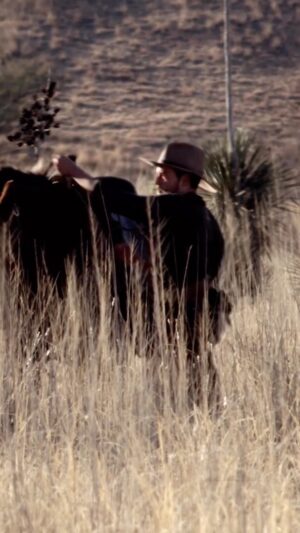 Aaron Marciniak Instagram - We need your help… 🤠
.
.
.
.
.
#western #westerns #drama #emotional #filmmaking #dramas #kiss #explore #explorepage #netflix #primevideo #streaming #bingewatching #cowboy
