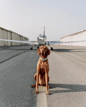 Aaron O'Connell Instagram - Watched the sunset in the air with my co-pilot to celebrate National Aviation Day ✈️ #cirruslife