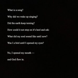Abby Corrigan Instagram - poem of the day. by me. 🪽🪽🪽