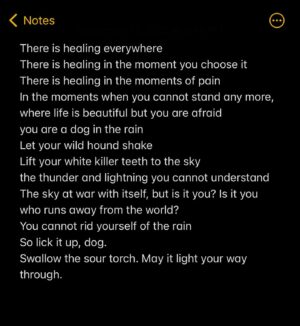 Abby Corrigan Instagram - may it light your way through.