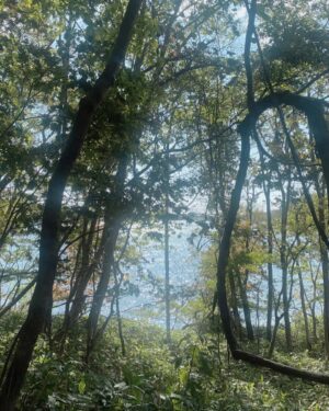 Abe Junko Instagram - 🍃🍃

この間お散歩した湖畔。
澄んだ空気に心が癒されました。