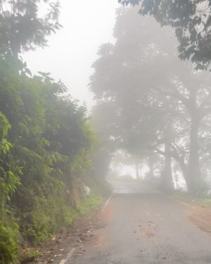 Abitha Venkat Instagram - Dose of hills.
.
..
#instagram #trending #tamilnadu #hills #therapy #india