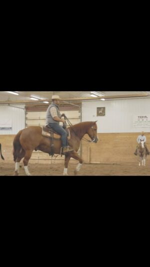 Adam Bartley Instagram - First time on a cutting horse.  The Lamborghini's of the equines. I may just be addicted.  I had the best of times with @janssenperformancehorses at their recent event.  Thx for the invite! These folks put the west in Midwest.  Just an hour and change north of the twin cities.  Best cutting horse training in the country. As for the music... ifkyk