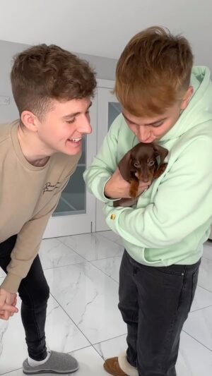 Adam Beales Instagram - When we surprised my parents with our new puppy 🐶♥️ #reels
