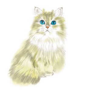 Adam Hagenbuch Instagram - On this Labor Day, take time to give thanks to the real heroes: Cats.
.
.
#cats #fatcats #chubbycat #catdrawing #drawing #fluffy #floofball #laborday