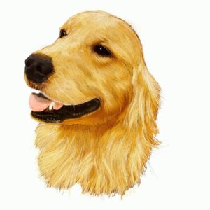 Adam Hagenbuch Instagram - Our lovely, beautiful doggo @cosmofullerhouse passed away recently so I decided to draw him. He was such a good dog. I really loved him a lot, he was very soft and cuddly and incredibly well behaved. He could just about get anyone to smile just by looking at him. 
Farewell buddy, I’ll meet ya in the big Doghouse in the sky.
