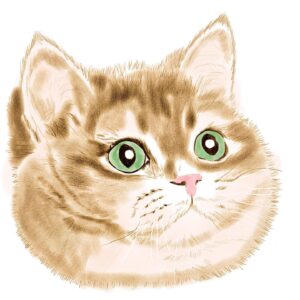 Adam Hagenbuch Instagram - I drew the living legend himself.
The captain of the Chonks
The leader of the Thicc Bois.
The Heavy Breathing Cat.
Let his magnificence overwhelm you.
.
.
#fatcats #cats #chubbycats #drawing #catdrawing #heavybreathing #heavybreathingcat #livingmeme #chonker #thiccboi #absoluteunit