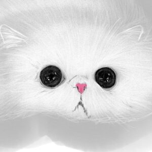 Adam Hagenbuch Instagram - I know what your thinking. “Adam why did you draw a picture of a sad cloud with soulless hollow eyes that pierce into the void of the universe itself? I thought you were trying to draw pictures of cats?” But slow your roll because this IS as a drawing of a cat.
.
.
#cats #fatcats #catdrawing #kitten #chat #gatitos #drawing #cloud #floof #thicc #theydontstopcoming