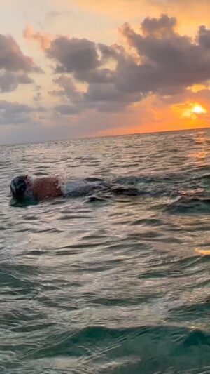 Adam Walker Instagram - Keep it simple & easy 🏊‍♂️

#oceanwalkertechnique